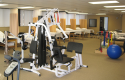 Physical Therapy, Troy MI