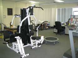 Physical Therapy, Warren MI